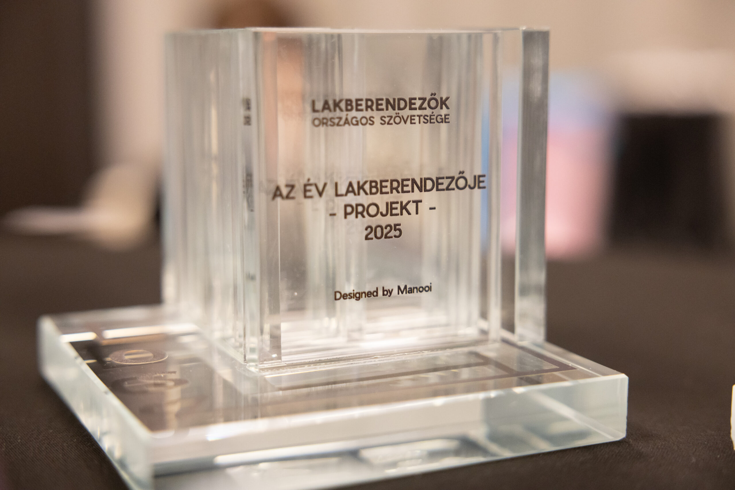 Trophée du designer d'intérieur de l'année 2 échelle